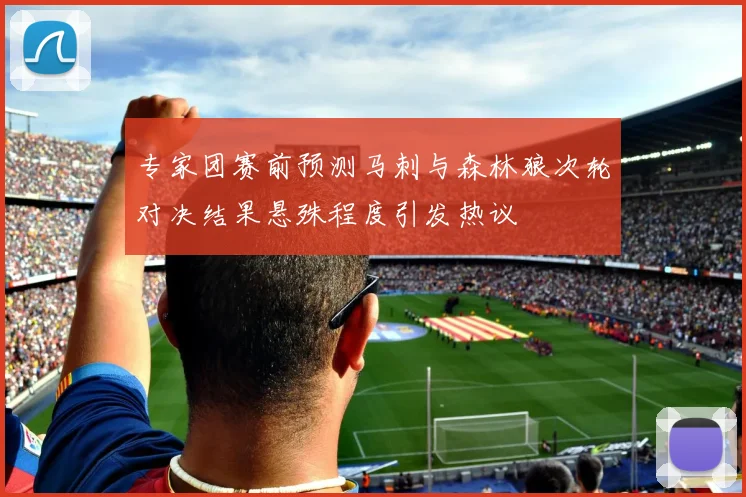 专家团赛前预测马刺与森林狼次轮对决结果悬殊程度引发热议